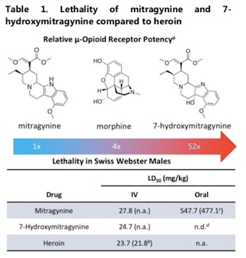 When scientists injected Swiss Webster mice with heroin, mitragynine, and 7-hydroxymitragynine, they...