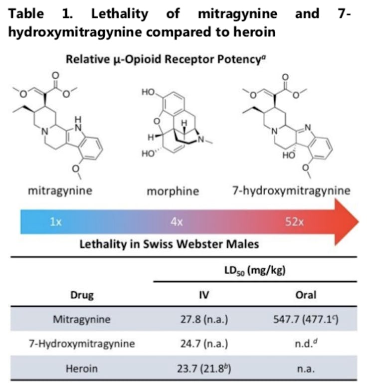 When scientists injected Swiss Webster mice with heroin, mitragynine, and 7-hydroxymitragynine, they...