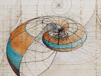 A perfect illustration by hand using math's golden ratio of a shell by Rafael Araujo