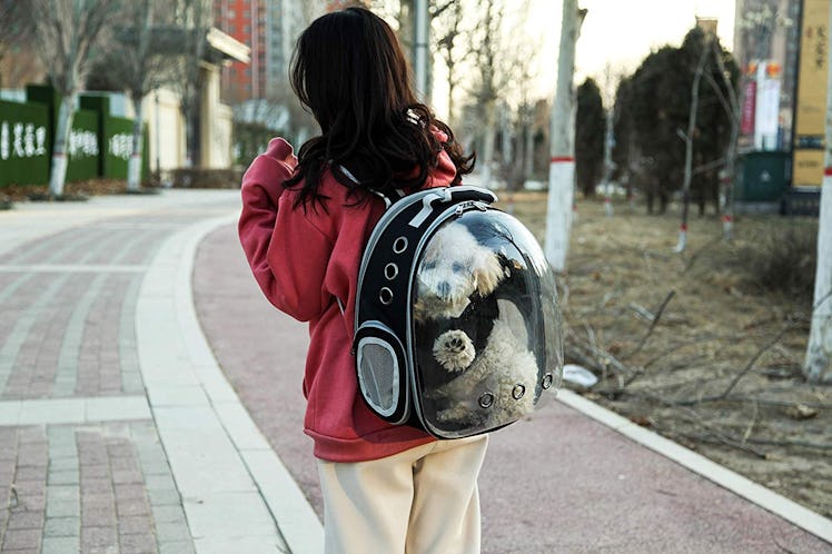 Space Capsule Bubble Shoulder Pet Backpack