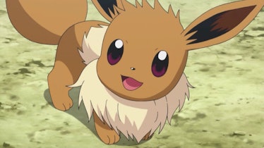 Eevee as it appears in the Pokémon anime.