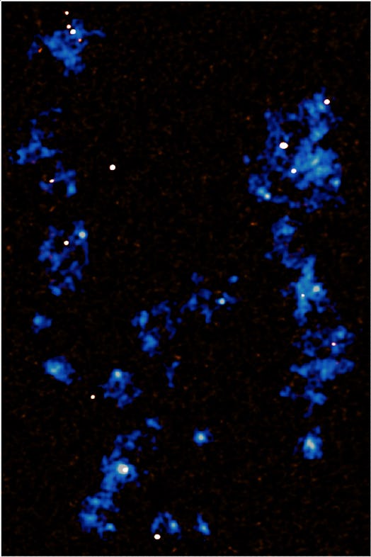 This map shows the gas filaments (blue) that run from the top to the bottom of the image, detected u...