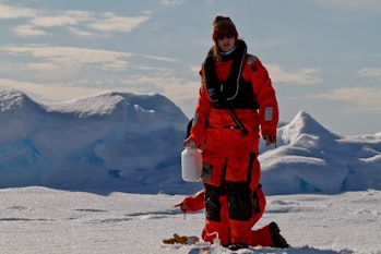 Scientists from the Alfred Wegener Institute collected snow samples in the Arctic and compared them ...