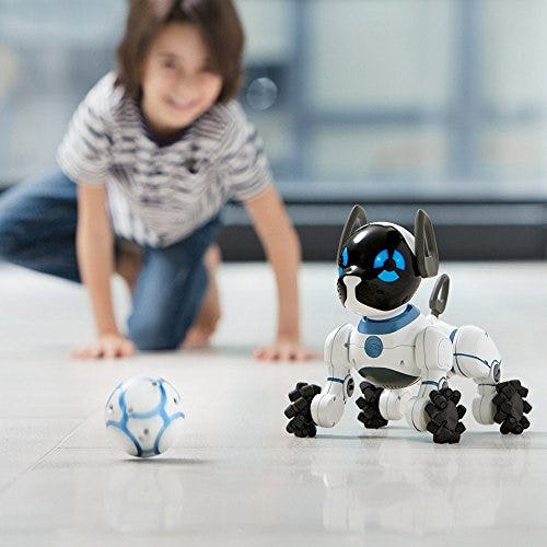 buy robot for home