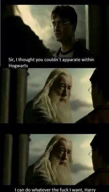 25 Of The Most Hilarious Harry Potter Memes