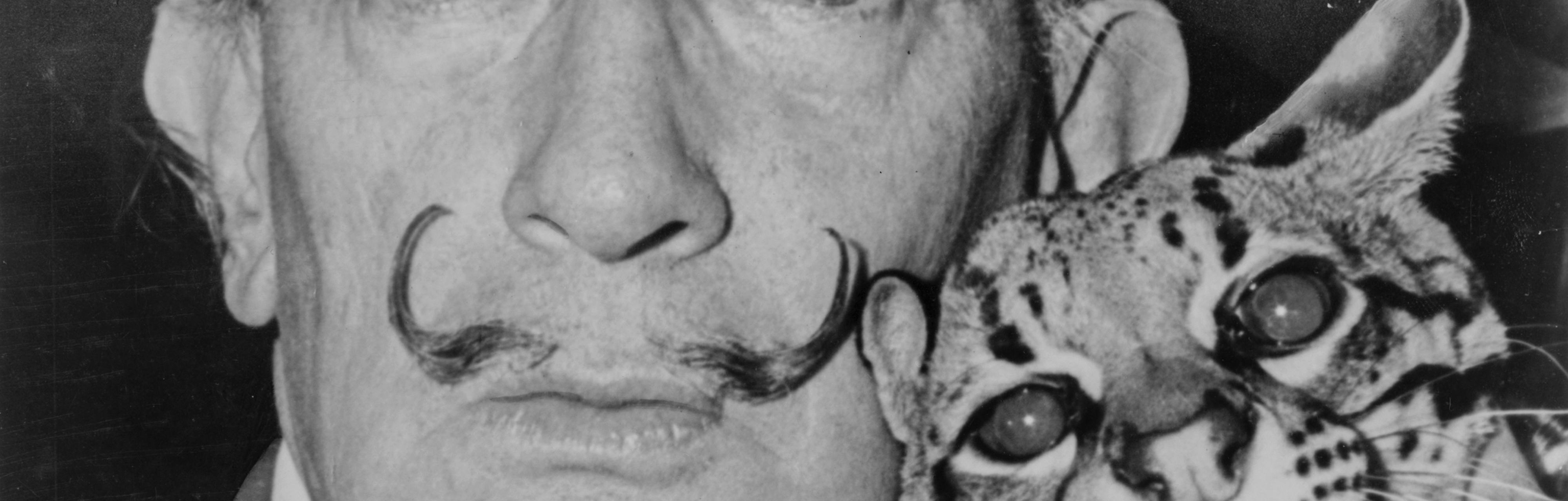 How Salvador Dali #39 s Mustache Stayed Twisted 27 Years After Death How Salvador Dali #39 s Mustache Stayed Twisted 27 Years After Death