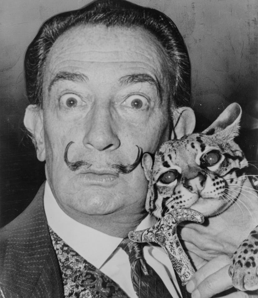 How Salvador Dali #39 s Mustache Stayed Twisted 27 Years After Death How Salvador Dali #39 s Mustache Stayed Twisted 27 Years After Death