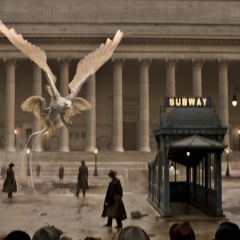 The Thunderbird in 'Fantastic Beasts and Where to Find Them'