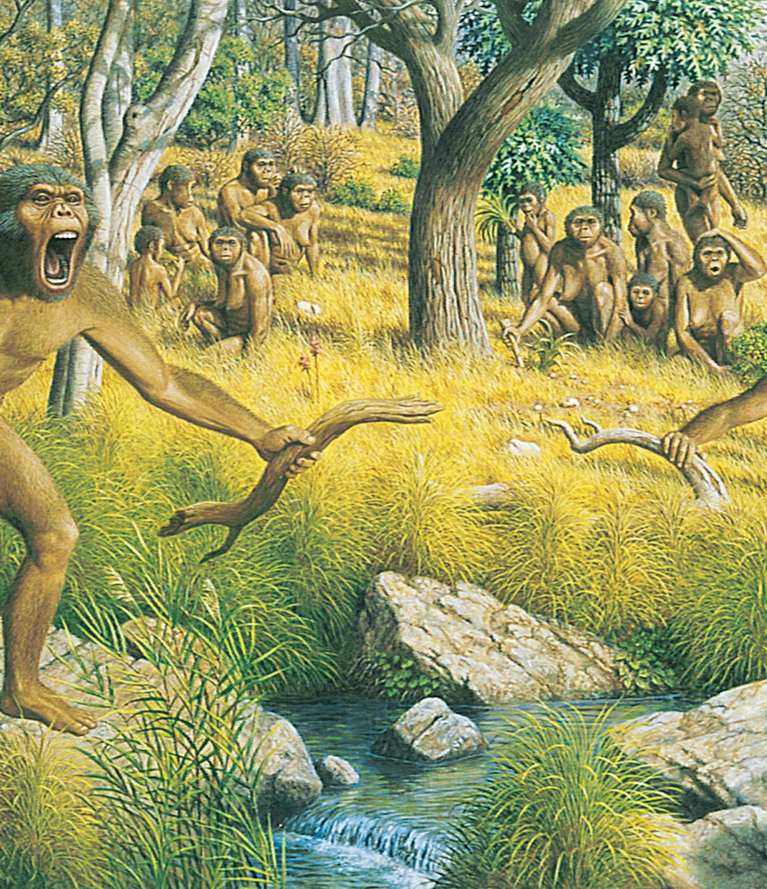 Ранние предки людей. Австралопитеки гоминид. Неоген австралопитеки. Австралопитек питекантроп неандерталец. Человекообразные обезьяны австралопитеки.