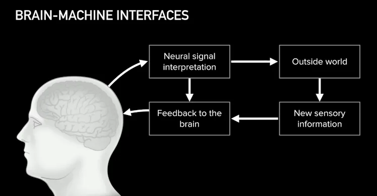 Neurolinked Neuralink: