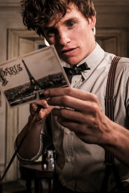 Who sends Newt a postcard from Paris?