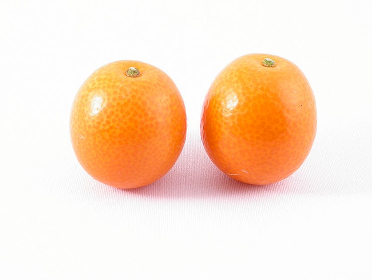 Two oranges on a white background