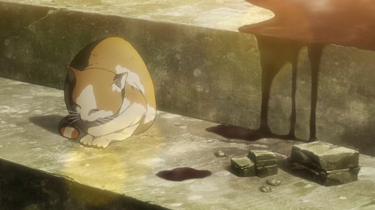 A random cat sits serenely as people die around him in 'Attack on Titan.'