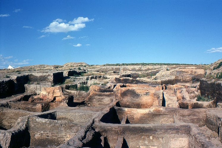 Çatalhöyük s