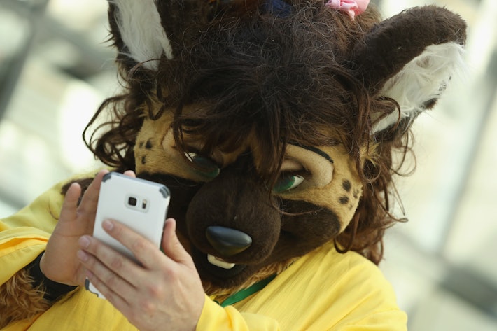 New Data Shows Furries Are Rapidly Growing In Number But Why 9420