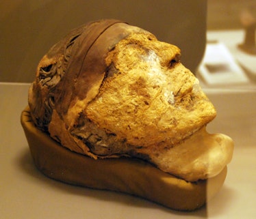 Djehutynakht, Egyptian mummy head