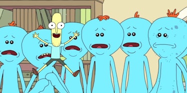 There's zero chance that Mr. Poopybutthole is actually an adult Meeseeks.