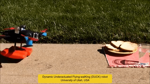 The IEEE Robotics Conference Spotlights Weird, Future Technology This Week