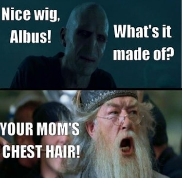 Top 10 Funniest Harry Potter Memes