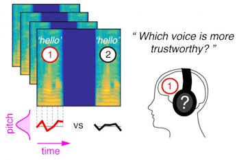 Method used to model mental representations of vocal intonation.