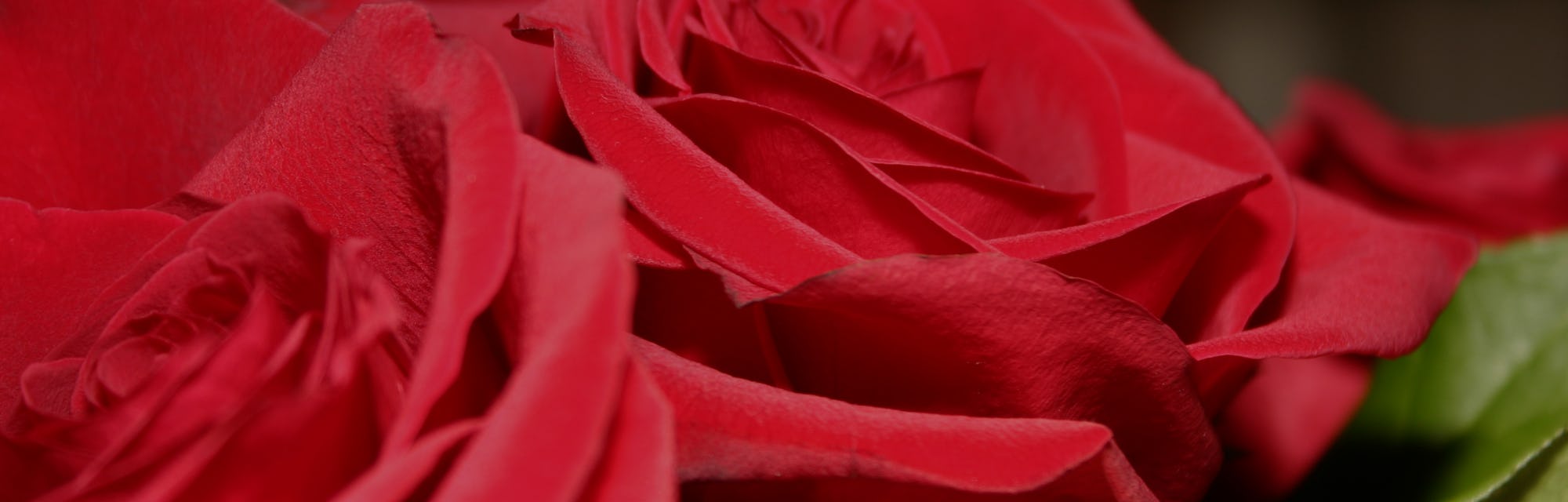 Valentine S Day Memes 8 Hilarious Roses Are Red Twitter Poems