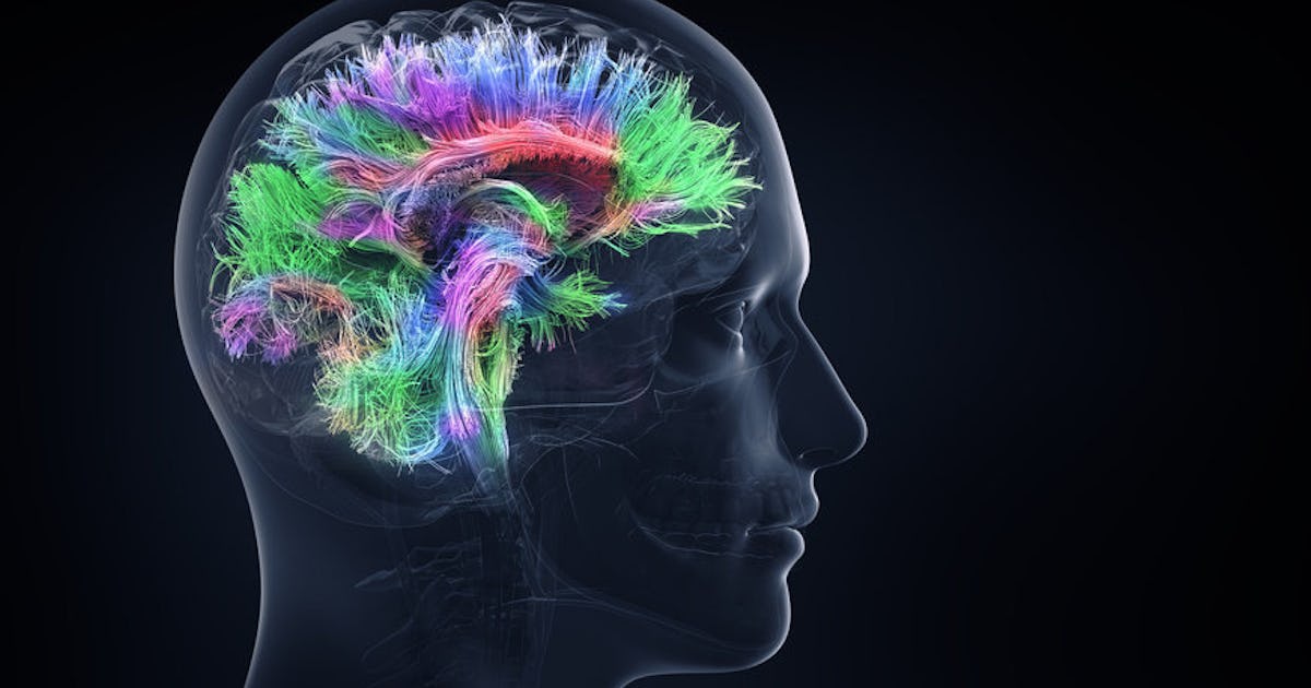 Is Intelligence Genetic?