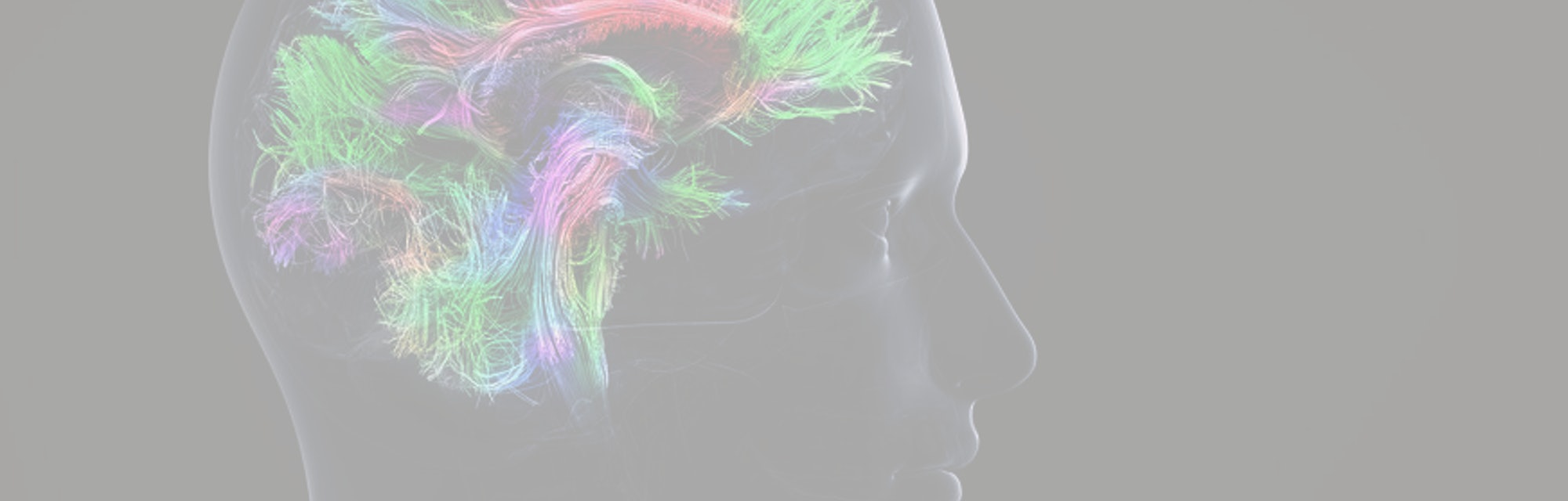 Is Intelligence Genetic?