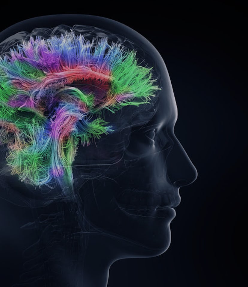 Is Intelligence Genetic?