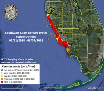 Florida’s red tide outbreak as of Aug. 8, 2018.