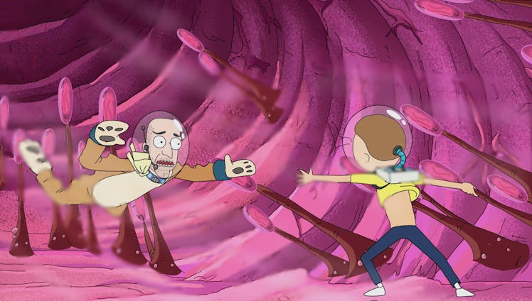 Morty tries to save Anatomy Park's animal mascot guy when Reuben coughs.