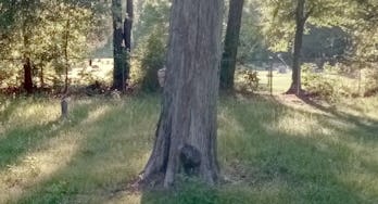 15 google maps images that seem to