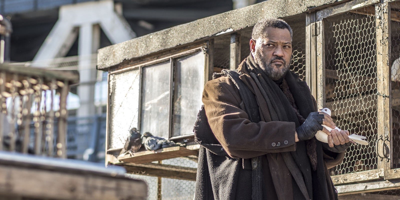 Who Is Laurence Fishburne In 'John Wick 2'? Meet The Bowery King