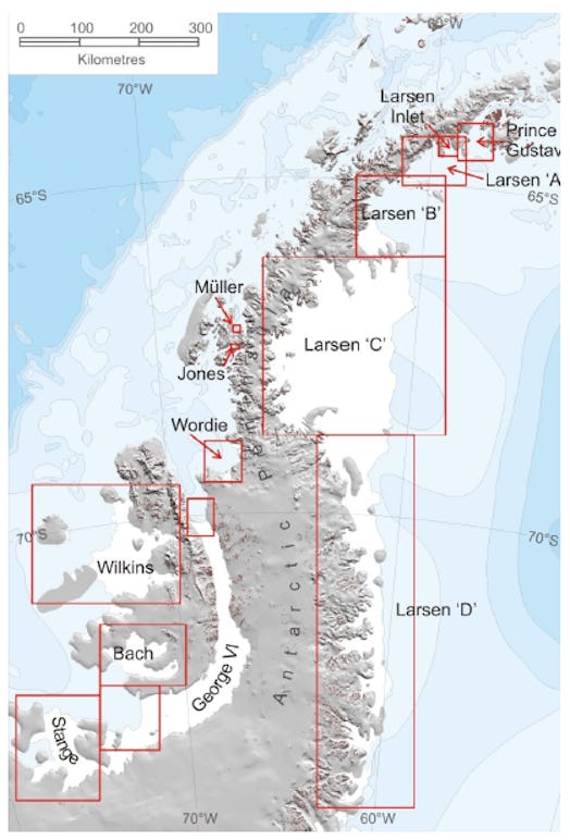 The Larsen A, Larsen B, Larsen C, and Larsen D ice shelves on the Antarctic Peninsula. 