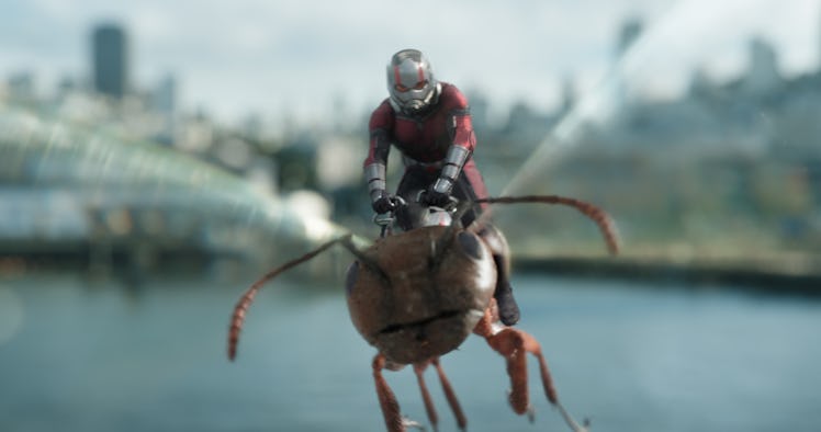 marvel studios ant man wasp netflix