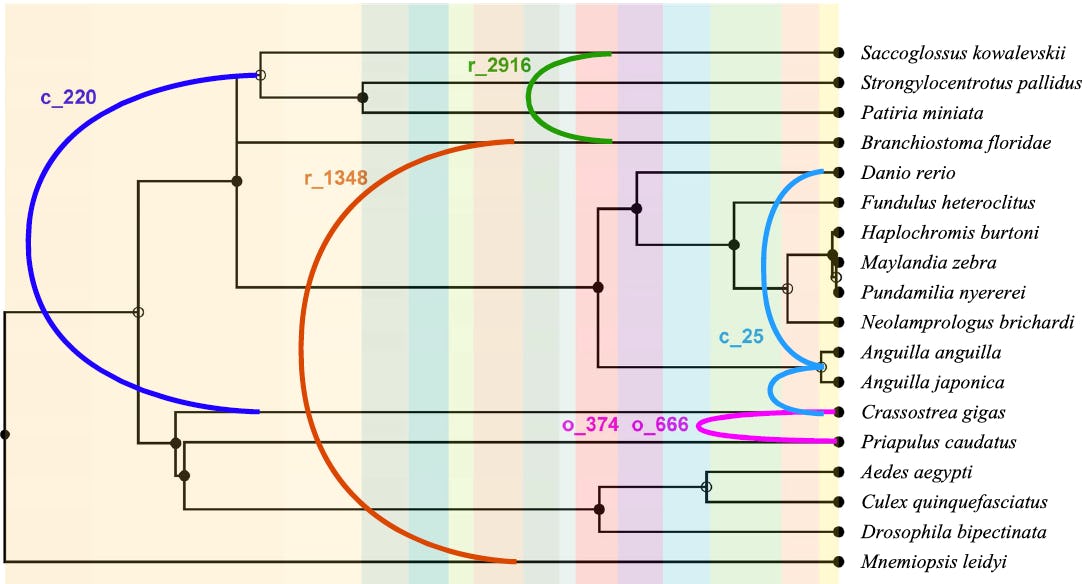 'Jumping Genes' Complicate Evolution Theory With DNA Shared Across Species