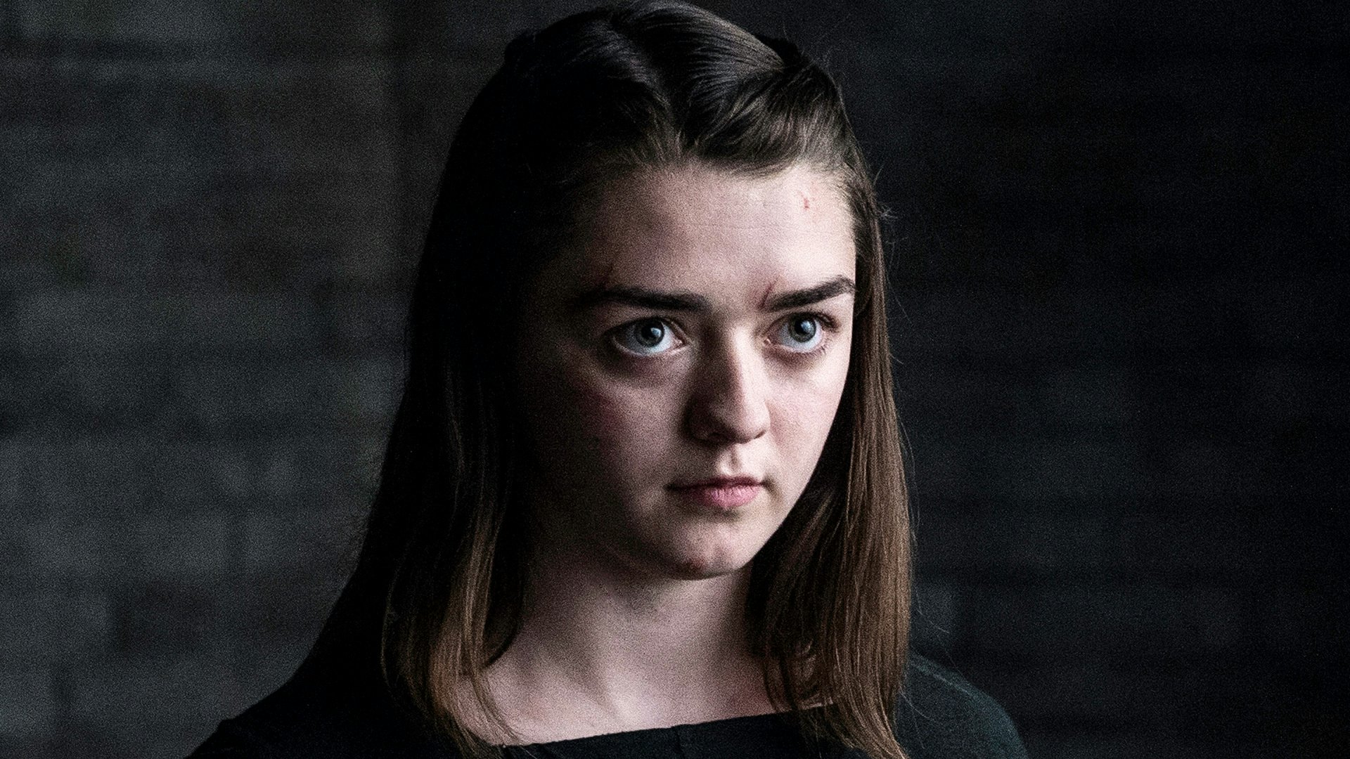 This Crazy Got Arya Theory Means She Ll Never Avenge The Starks