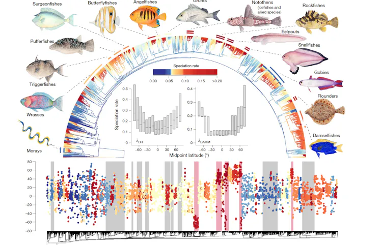 Evolutionary Split Huge Evolution Study Forces Us to Rethink Where Earth's Species Evolve
