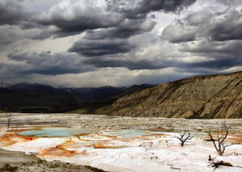 Upper terraces of Mammoth Hot Springs, Yellowstone National Park, Wyoming. Hot water is the creative...
