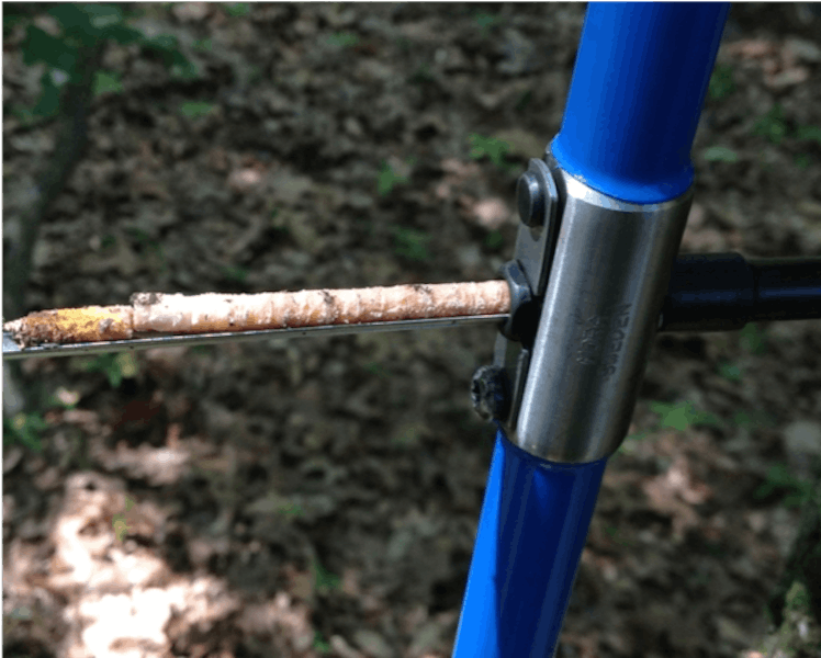 Removing a tree core with an increment borer. 