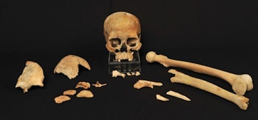 skeletal remains ancient human Scandinavia 