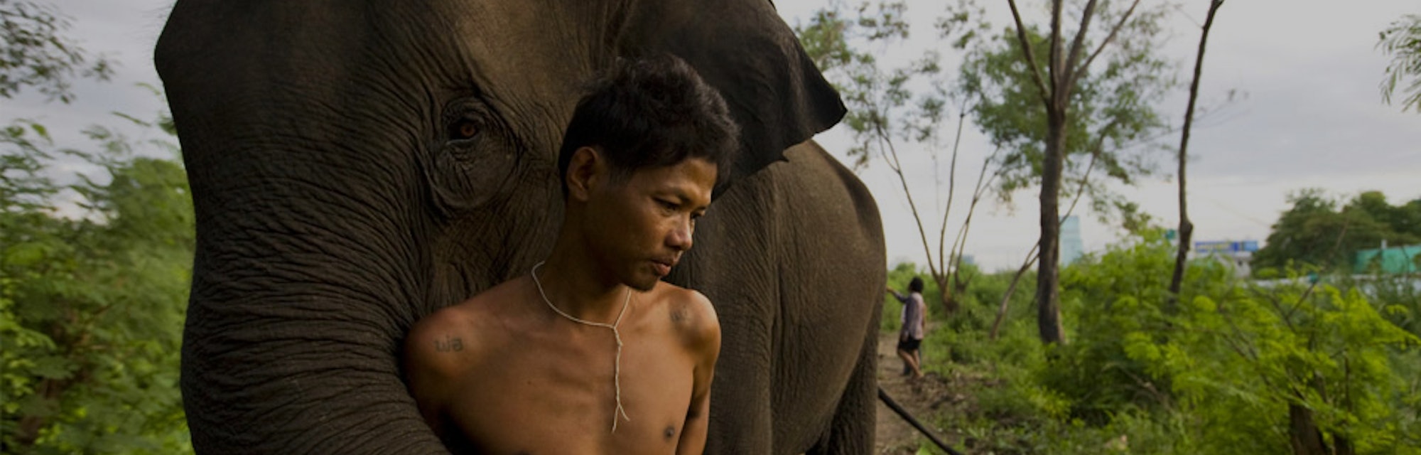 Telomere Shortening Predictor Of Lifespan Is Shared Across Animal