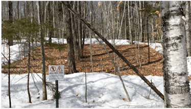 Research plot at Hubbard Brook Experimental Forest with snowpack experimentally reduced. 