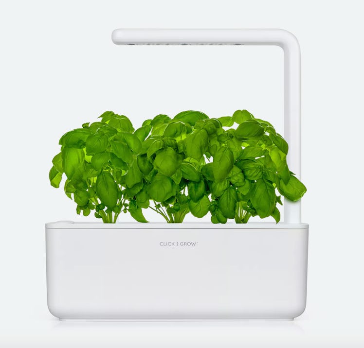 Click & Grow Mini Smart Garden