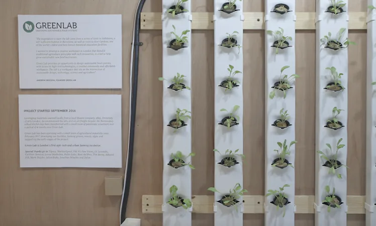 How London's Green Lab Is Using Technology to Help Feed the Planet
