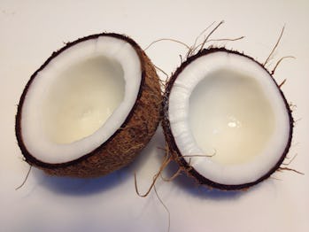 kokosnöt