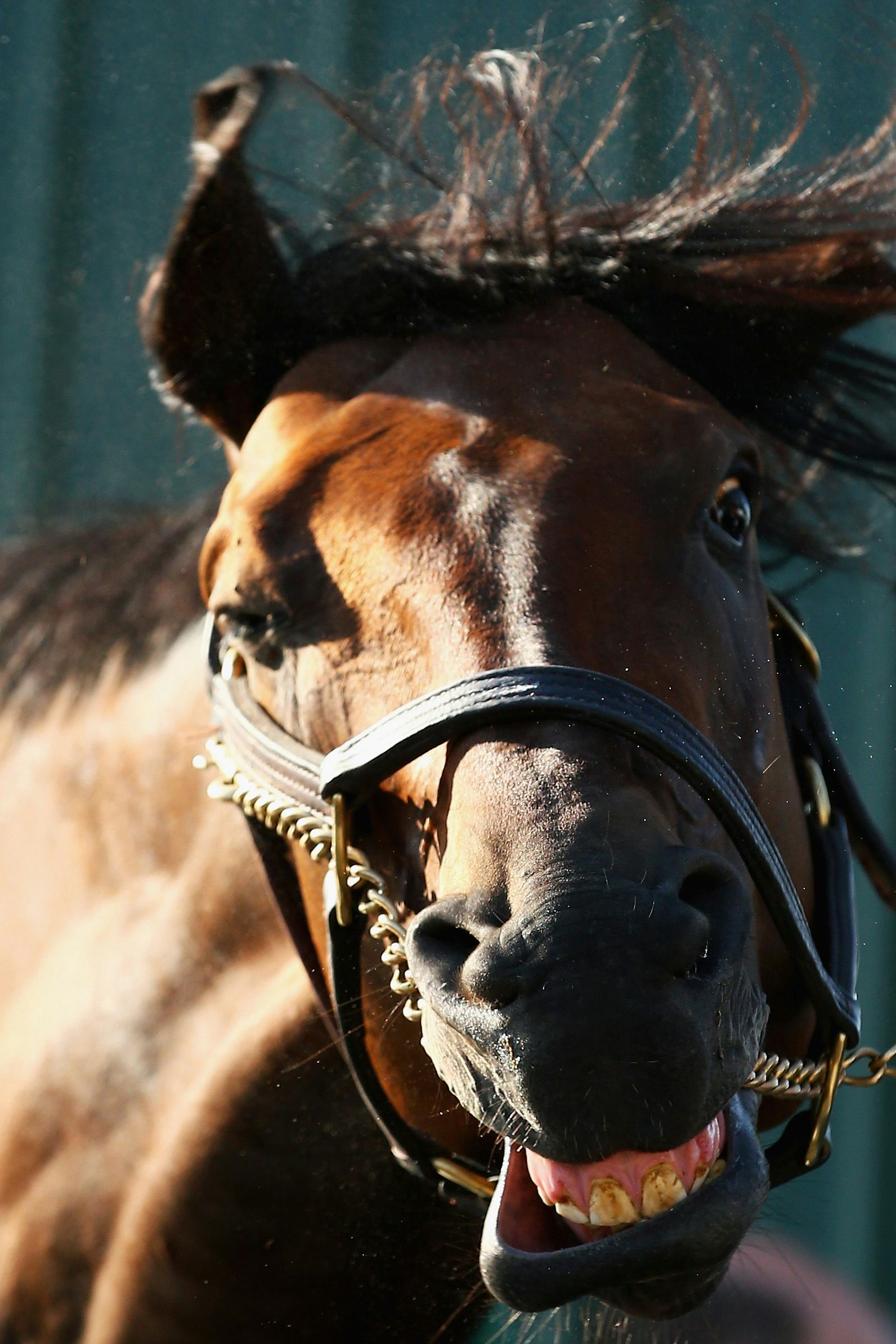 How Unanimous A.I. Uses the Human Hive Mind to Make Predictions