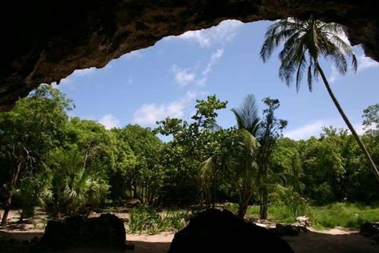 Ancient tooth, Taino