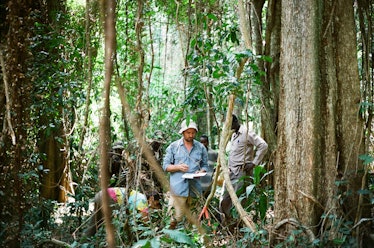 coffee expedition 