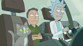 rick and morty talking cat