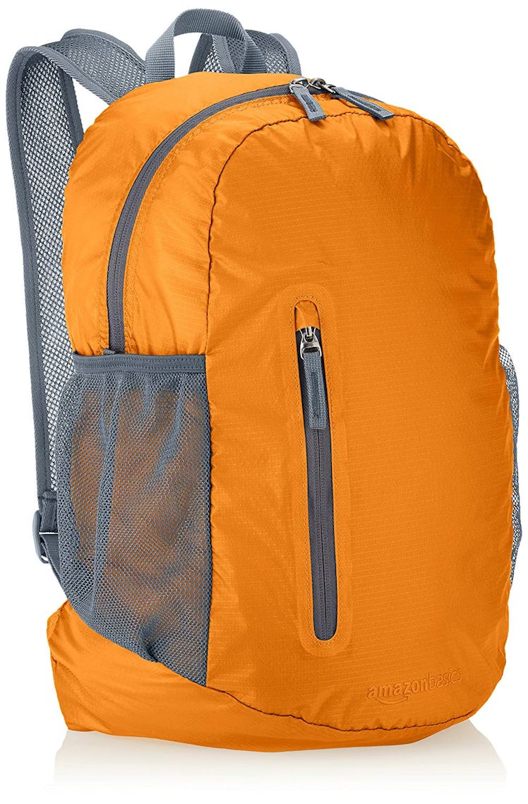 AmazonBasics Ultralight Packable Day Pack